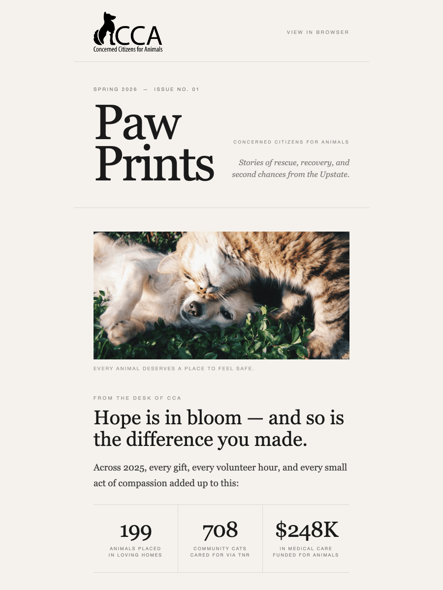 After: the redesigned Paw Prints Spring 2026 newsletter — cream palette, serif Paw Prints masthead, hero photo, three-column impact stats, and editorial sections.